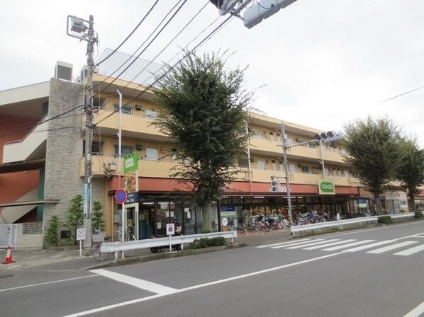 オリーブガーデンの物件内観写真